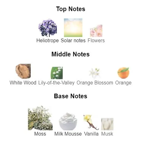 KORLOVE WOMEN'S PERFUME view 3