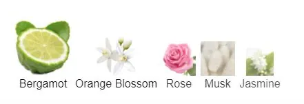 MEMOIRE ADDICTION PETALE HIGH PERFUMERY view 3